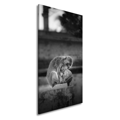 Hauptbild Schwarz & Weiß Panorama