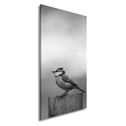 Hauptbild Schwarz & Weiß Panorama