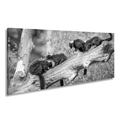 Hauptbild Schwarz & Weiß Panorama