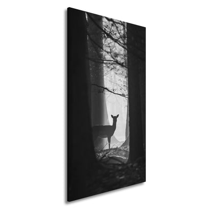 Hauptbild Schwarz & Weiß Panorama