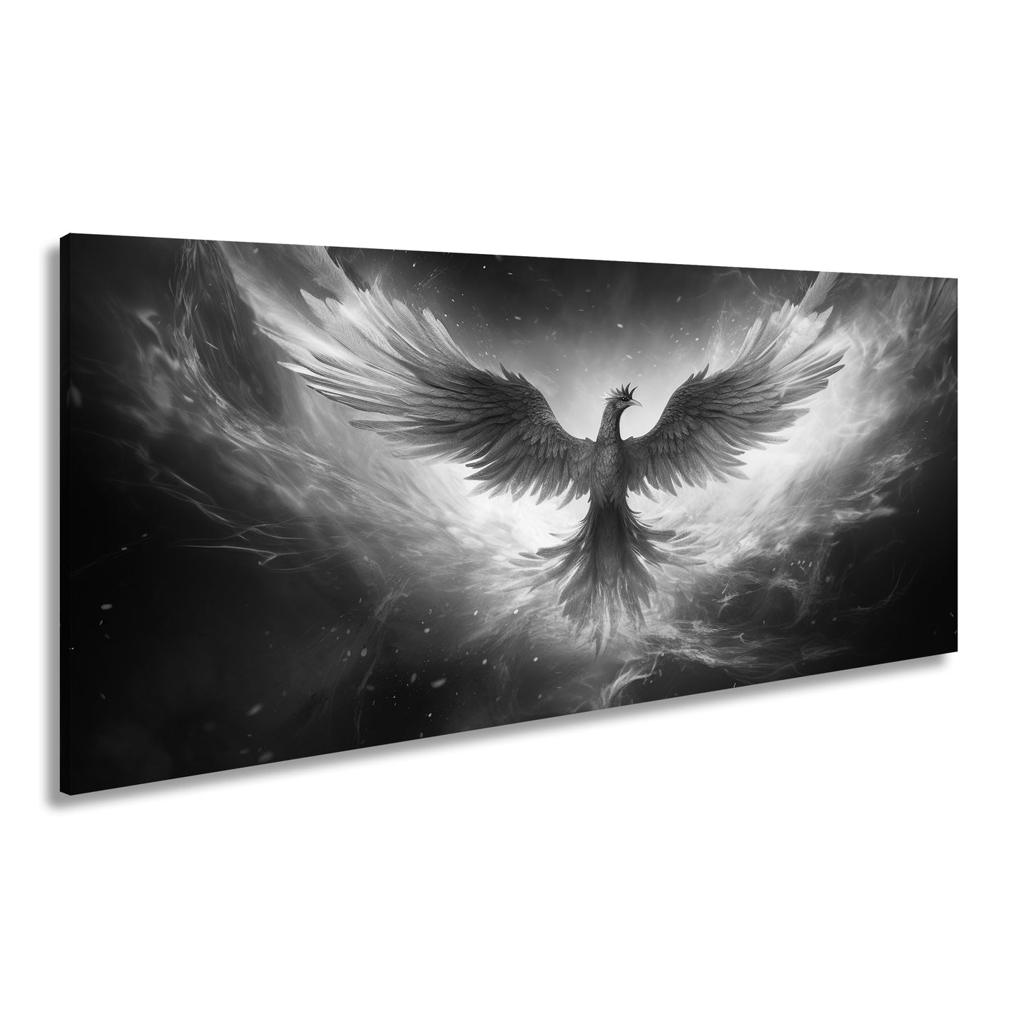 Hauptbild Schwarz & Weiß Panorama