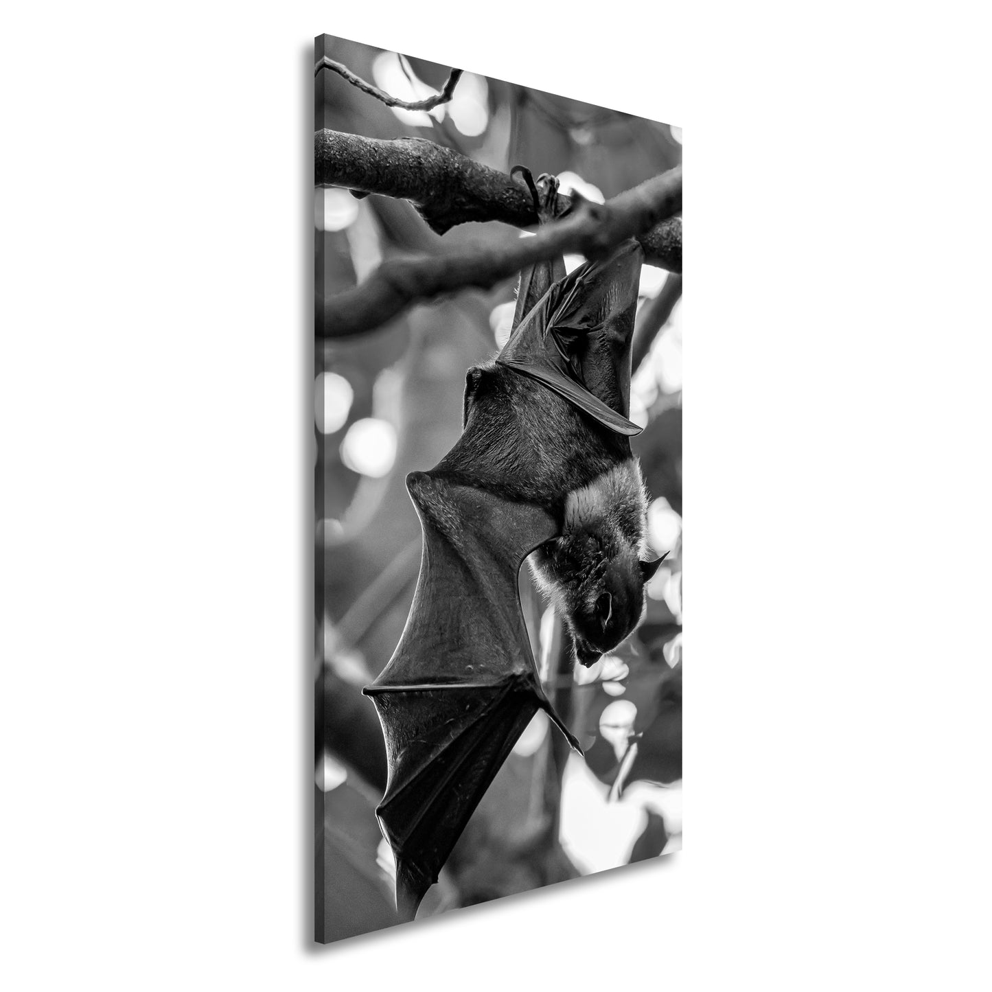 Hauptbild Schwarz & Weiß Panorama