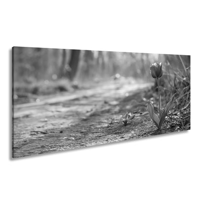 Hauptbild Schwarz & Weiß Panorama