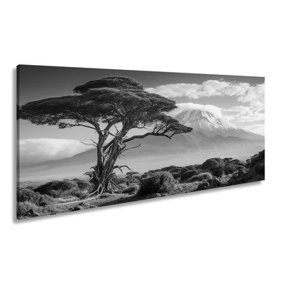 Hauptbild Schwarz & Weiß Panorama