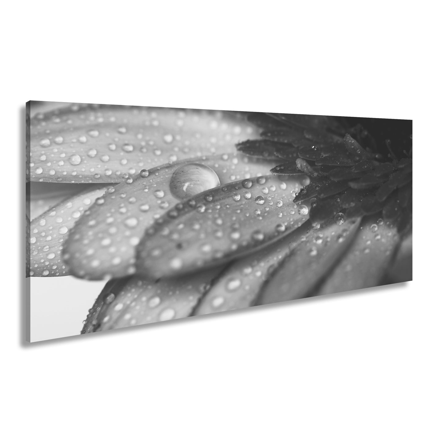 Hauptbild Schwarz & Weiß Panorama