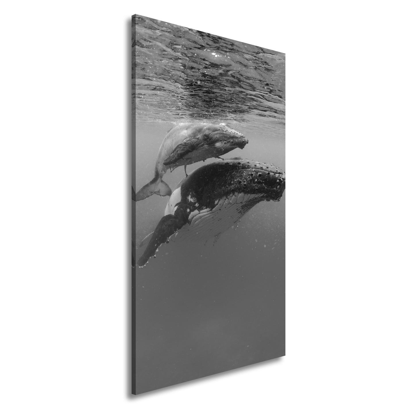 Hauptbild Schwarz & Weiß Panorama