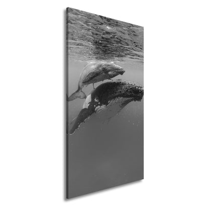 Hauptbild Schwarz & Weiß Panorama