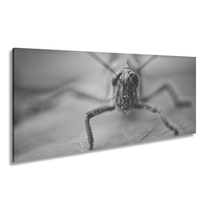 Hauptbild Schwarz & Weiß Panorama