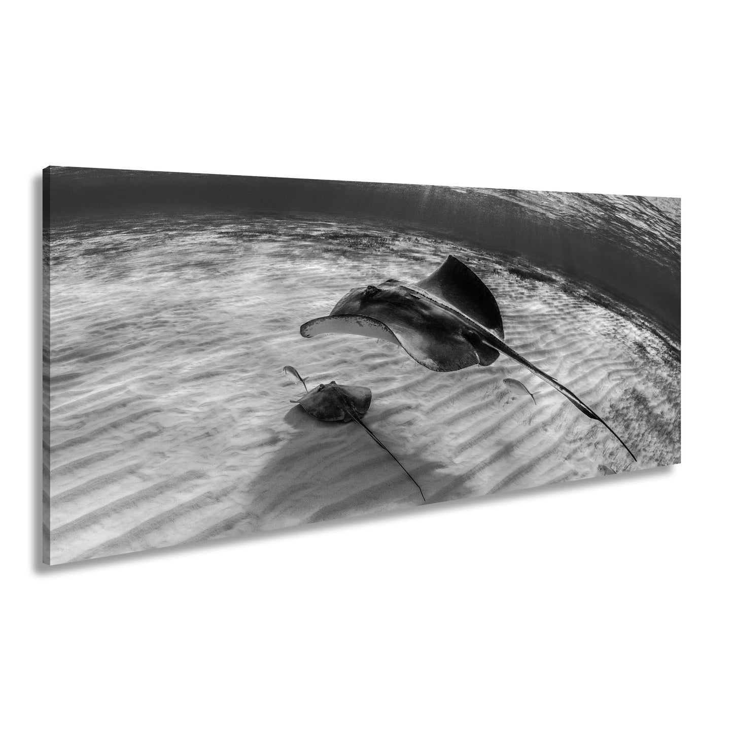 Hauptbild Schwarz & Weiß Panorama