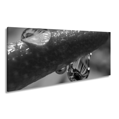 Hauptbild Schwarz & Weiß Panorama