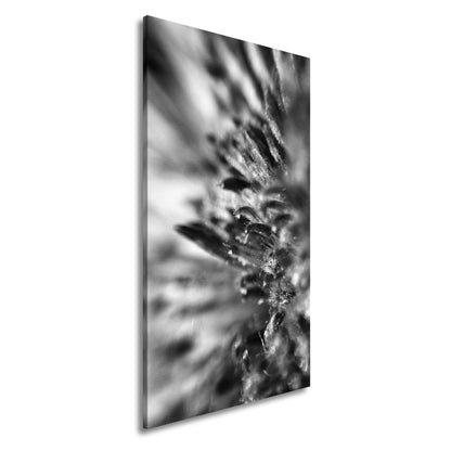 Hauptbild Schwarz & Weiß Panorama