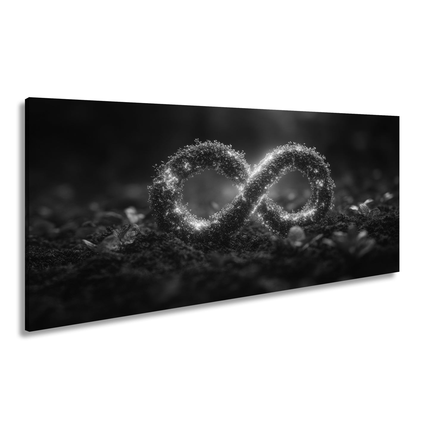 Hauptbild Schwarz & Weiß Panorama