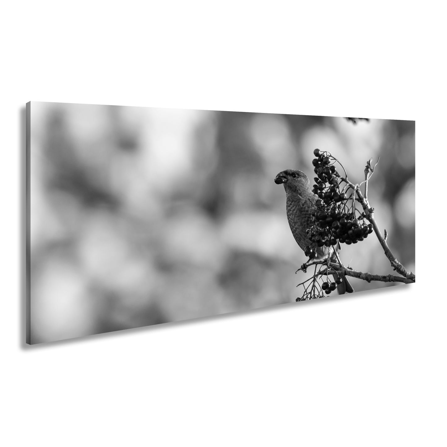 Hauptbild Schwarz & Weiß Panorama