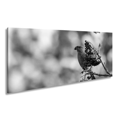 Hauptbild Schwarz & Weiß Panorama