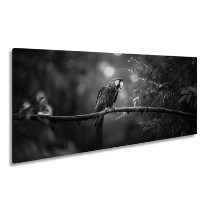 Hauptbild Schwarz & Weiß Panorama