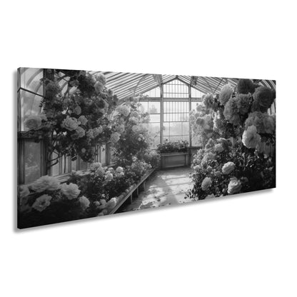 Hauptbild Schwarz & Weiß Panorama