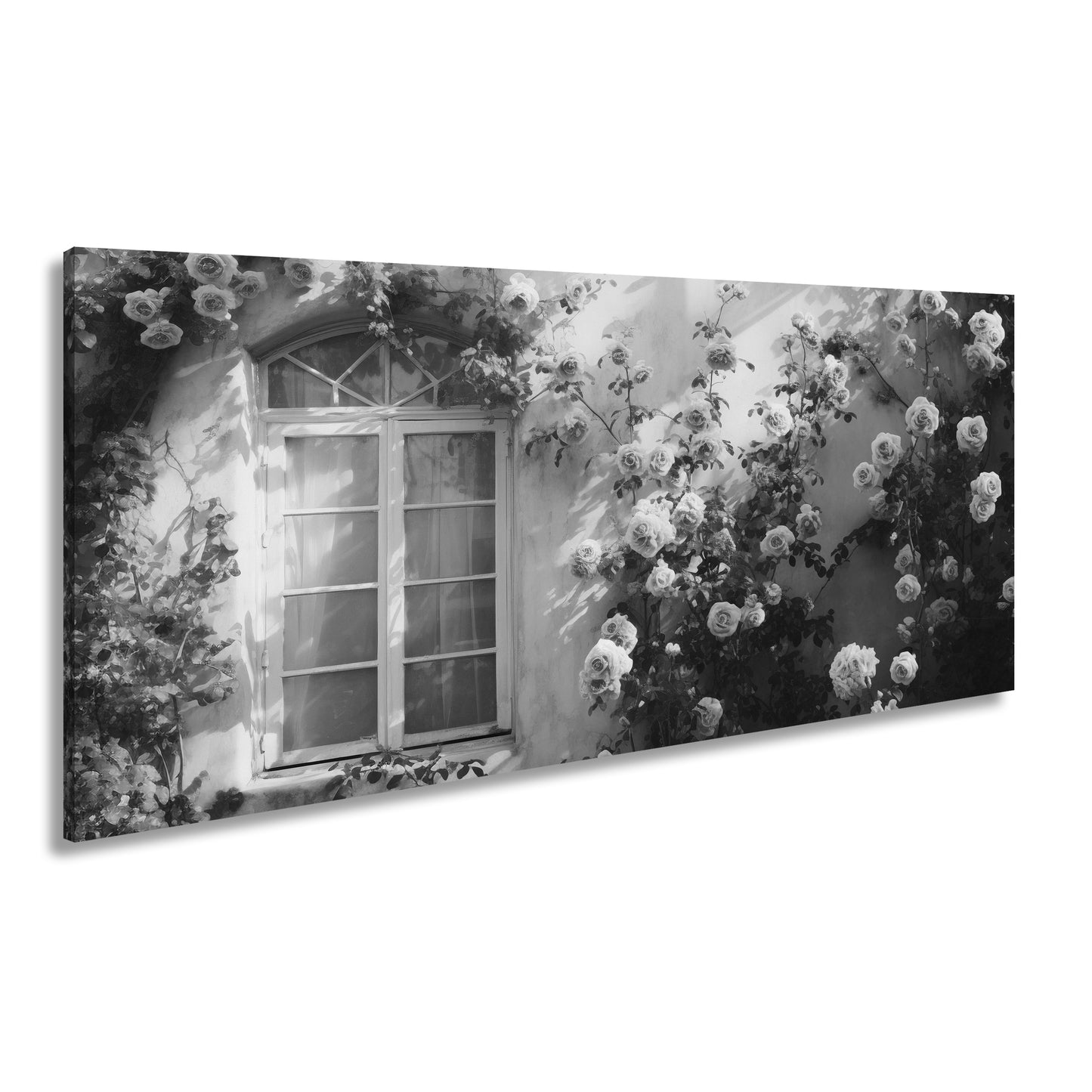 Hauptbild Schwarz & Weiß Panorama