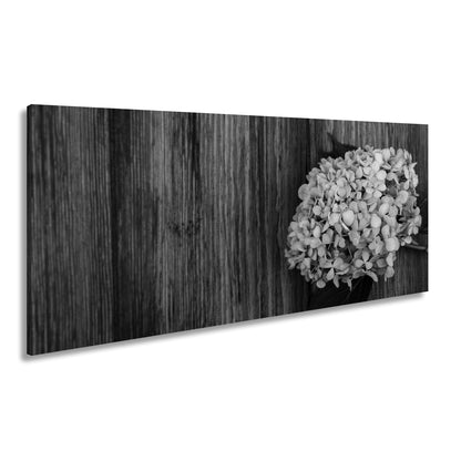 Hauptbild Schwarz & Weiß Panorama