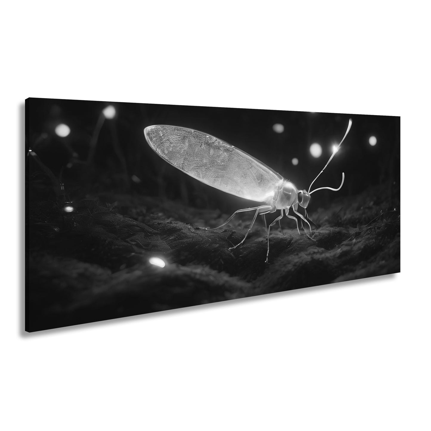 Hauptbild Schwarz & Weiß Panorama