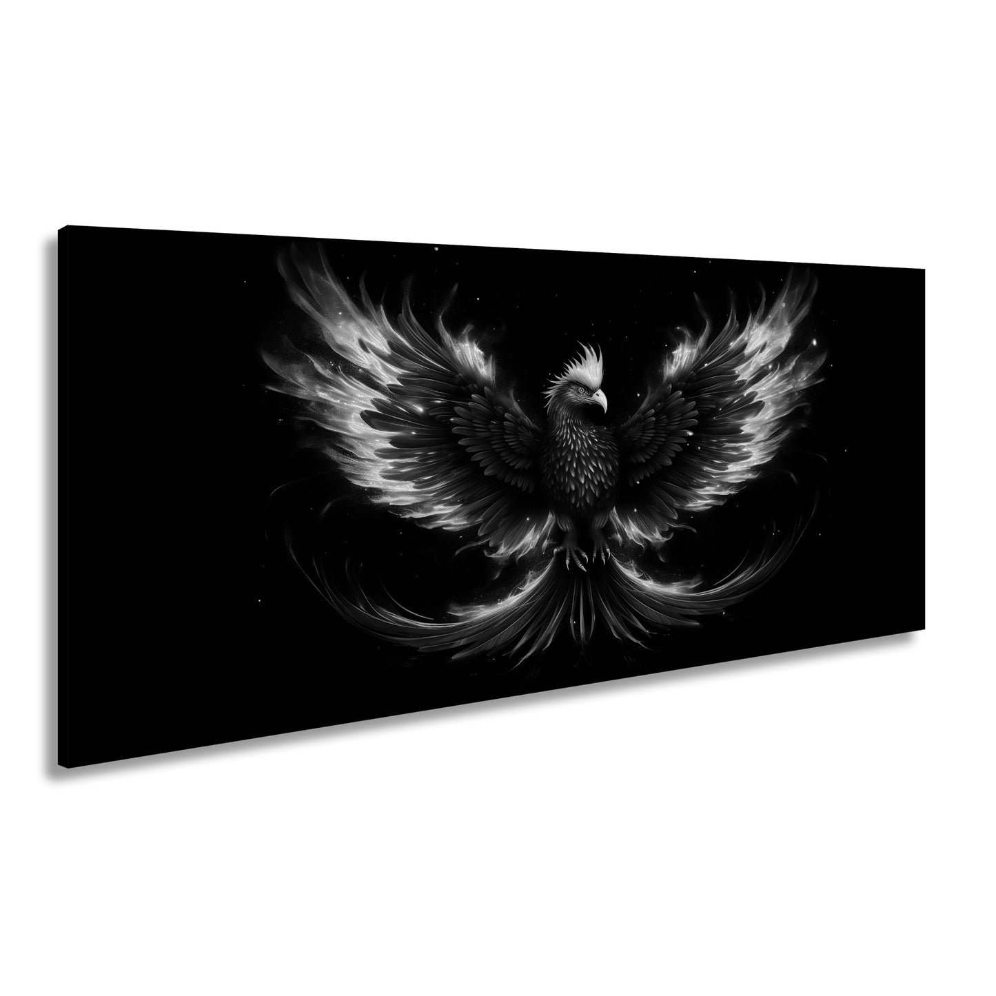 Hauptbild Schwarz & Weiß Panorama