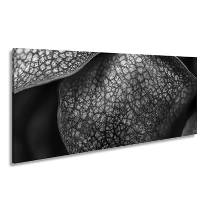 Hauptbild Schwarz & Weiß Panorama