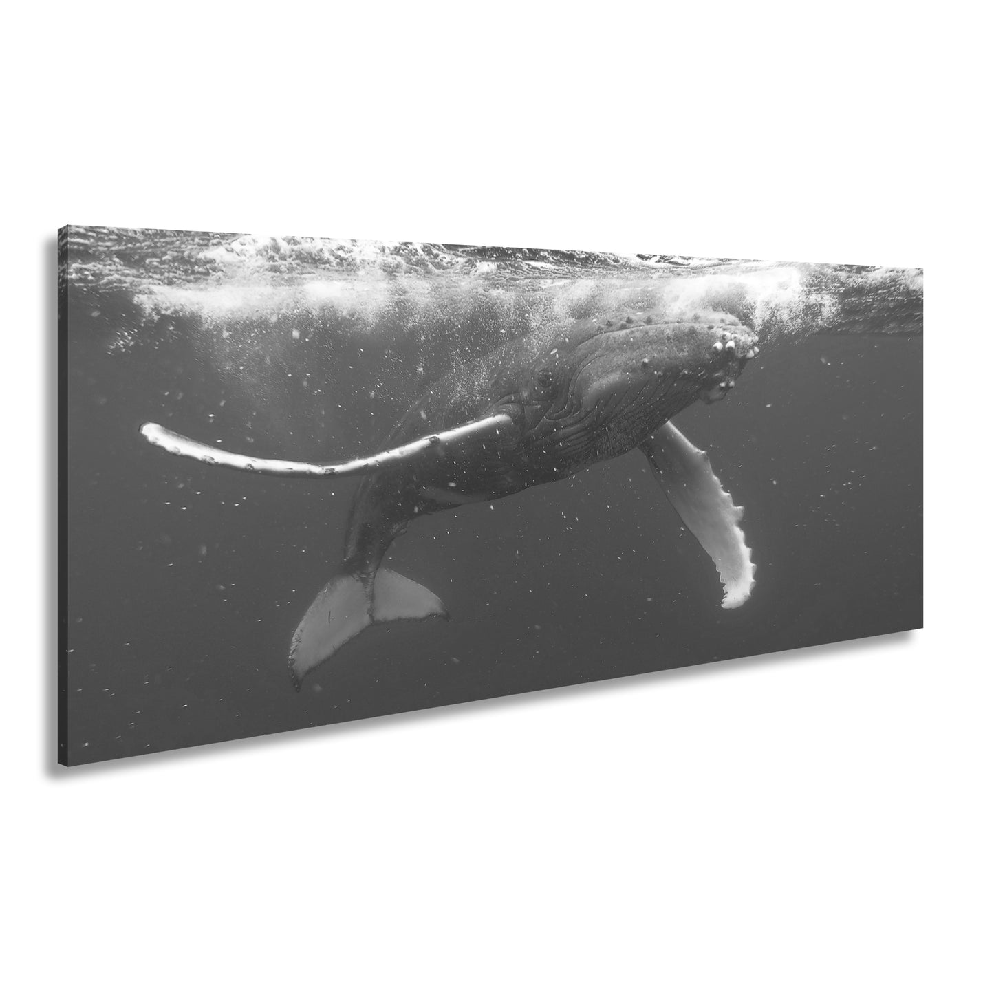 Hauptbild Schwarz & Weiß Panorama