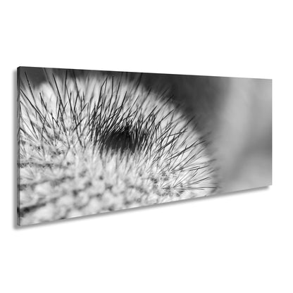 Hauptbild Schwarz & Weiß Panorama