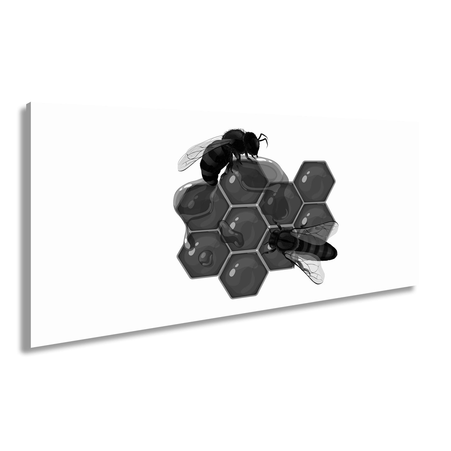 Hauptbild Schwarz & Weiß Panorama