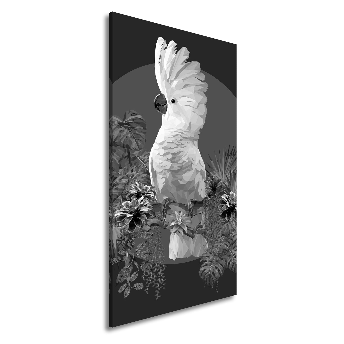 Hauptbild Schwarz & Weiß Panorama