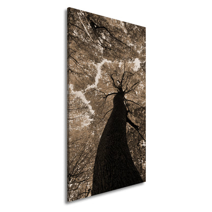 Hauptbild Sepia Panorama