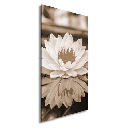 Hauptbild Sepia Panorama