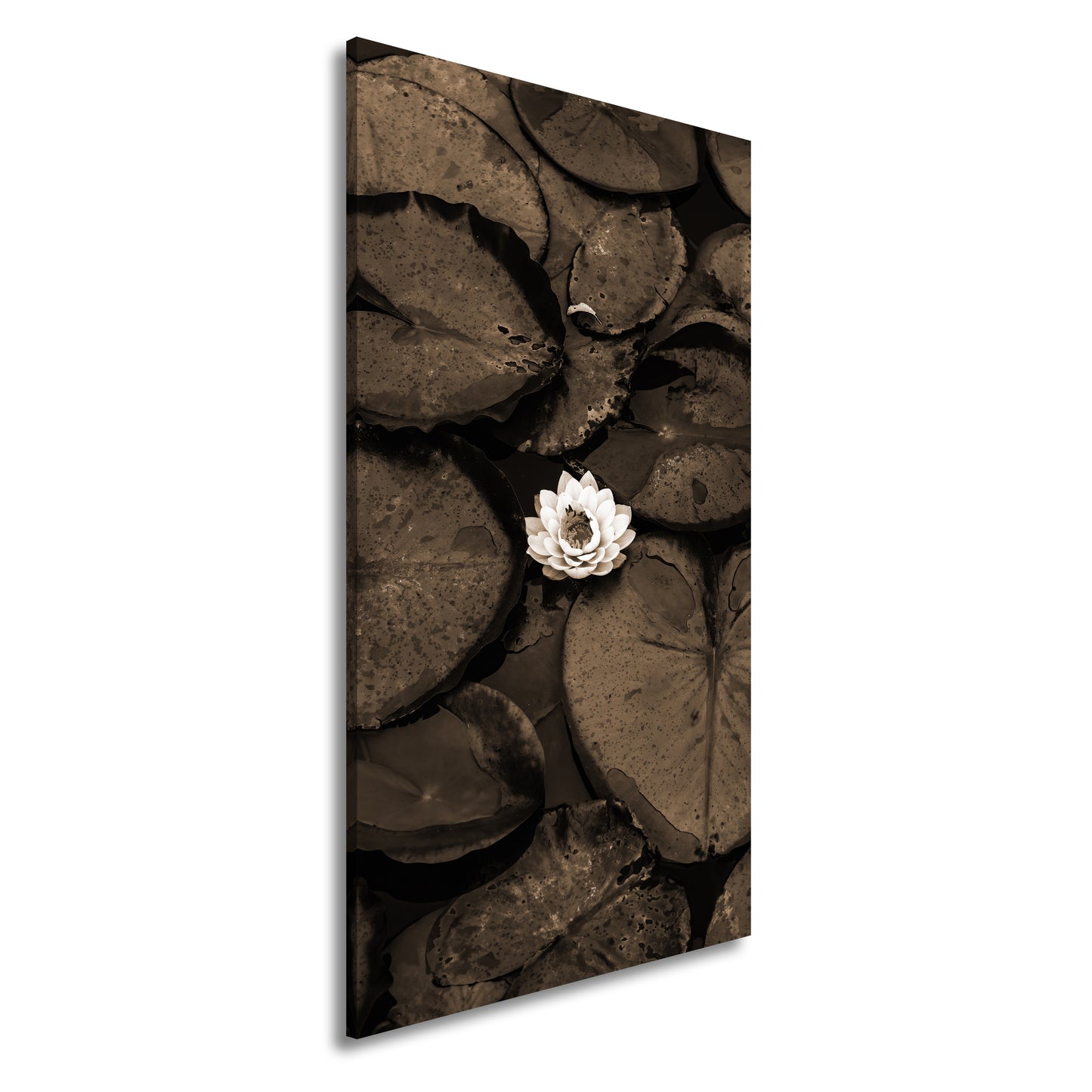 Hauptbild Sepia Panorama