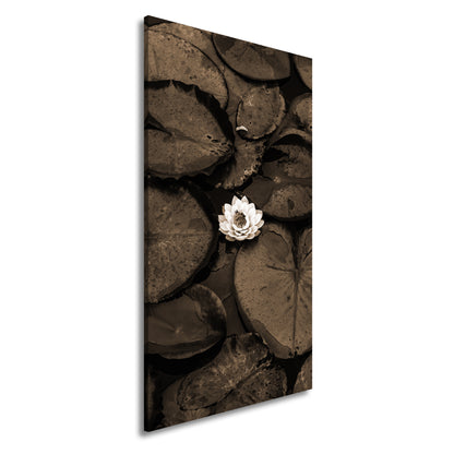 Hauptbild Sepia Panorama