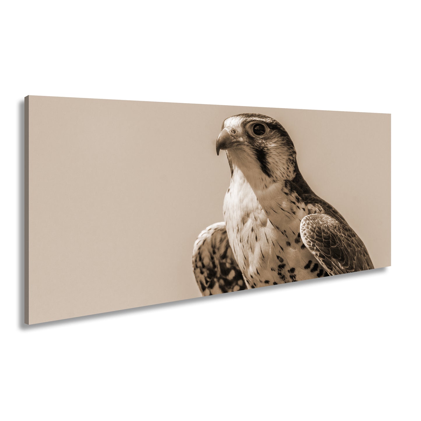 Hauptbild Sepia Panorama