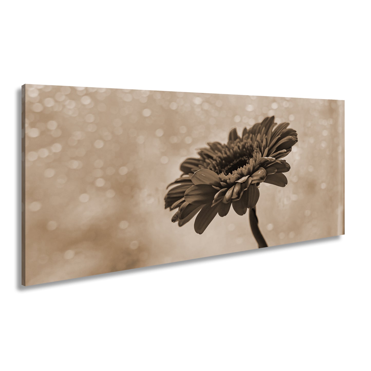 Hauptbild Sepia Panorama