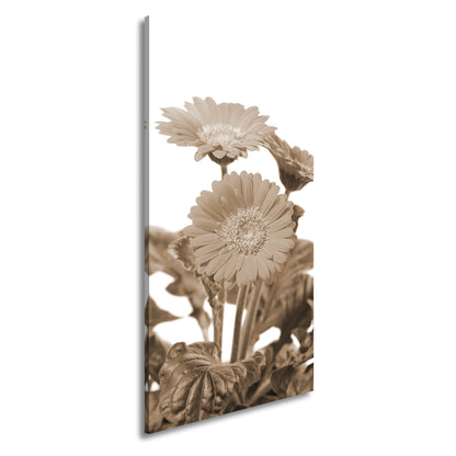 Hauptbild Sepia Panorama