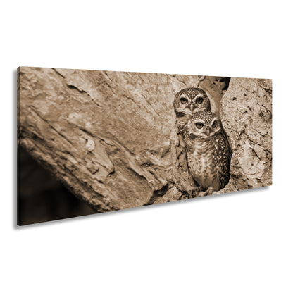 Hauptbild Sepia Panorama