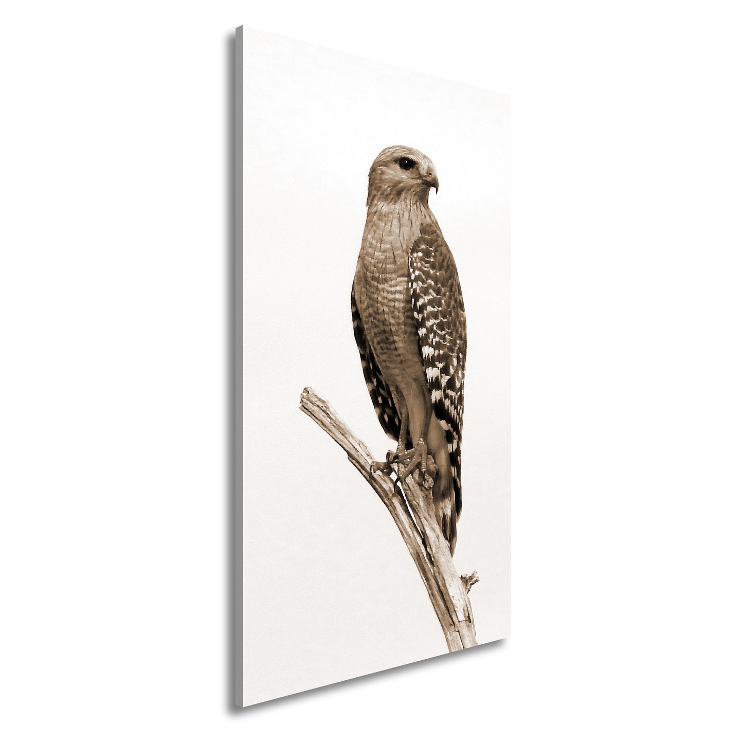 Hauptbild Sepia Panorama