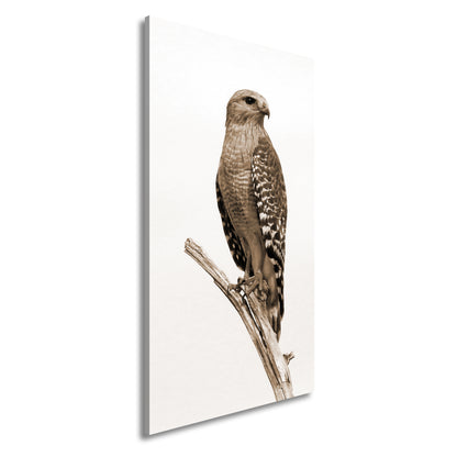 Hauptbild Sepia Panorama