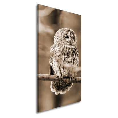 Hauptbild Sepia Panorama