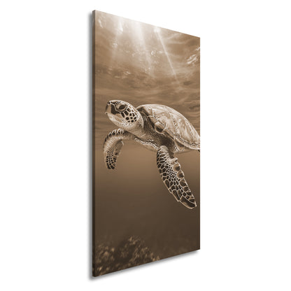 Hauptbild Sepia Panorama