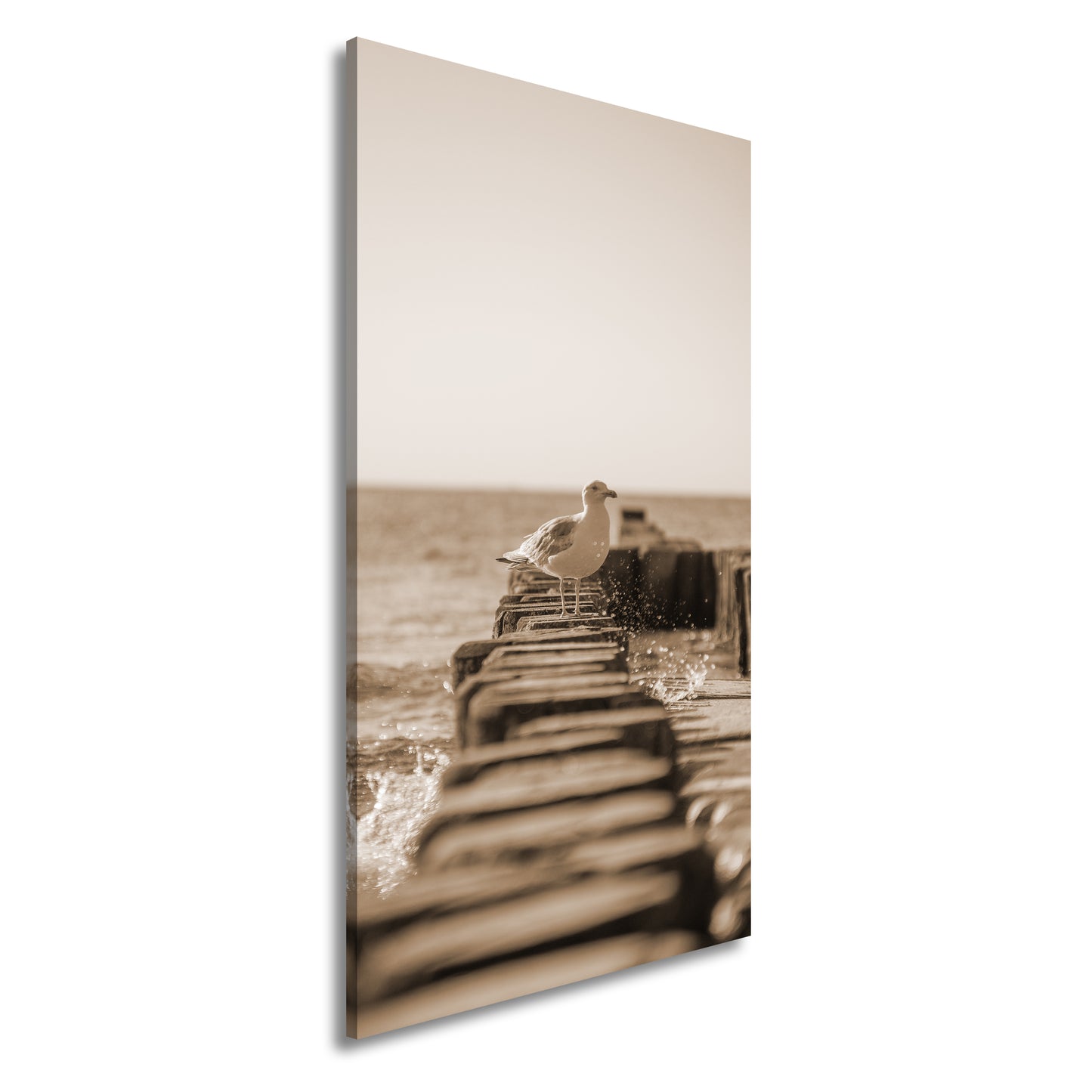 Hauptbild Sepia Panorama