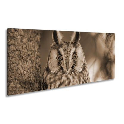 Hauptbild Sepia Panorama