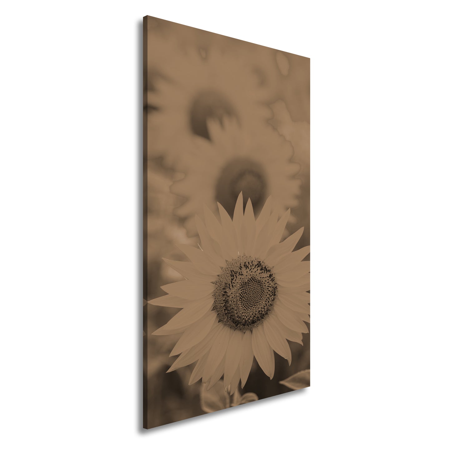 Hauptbild Sepia Panorama