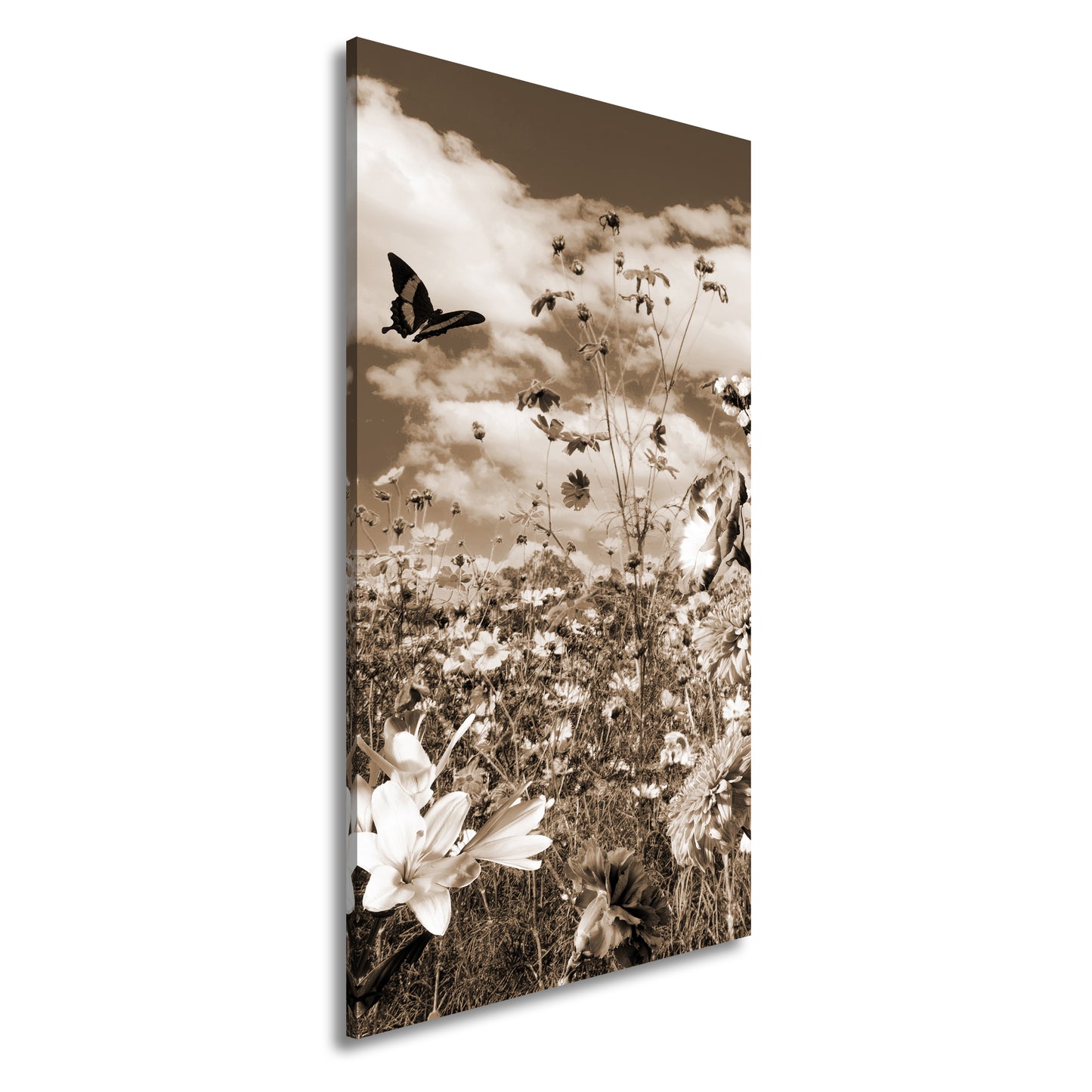 Hauptbild Sepia Panorama