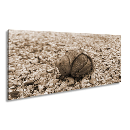 Hauptbild Sepia Panorama