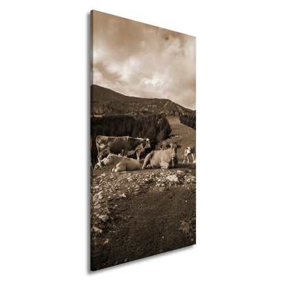 Hauptbild Sepia Panorama