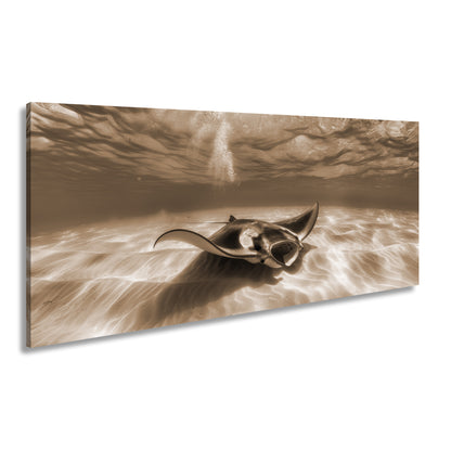 Hauptbild Sepia Panorama