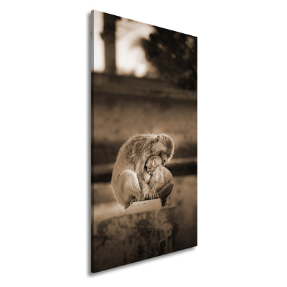 Hauptbild Sepia Panorama