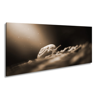 Hauptbild Sepia Panorama